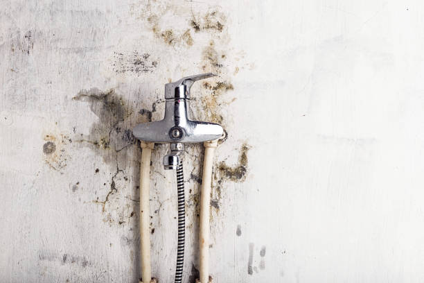 Crawl Space Mold Removal in Merlin, OR
