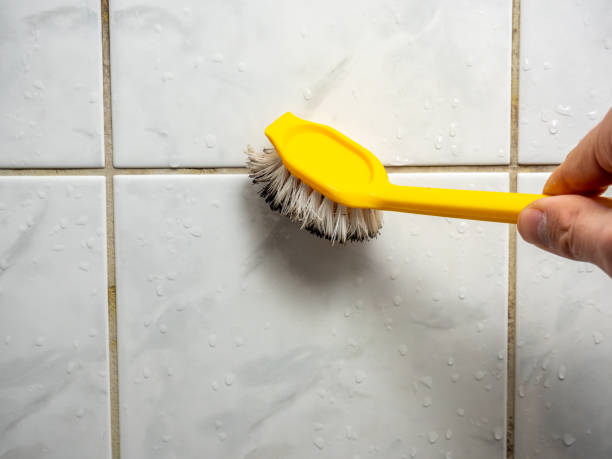 Mold Removal and Inspection in Merlin, OR
