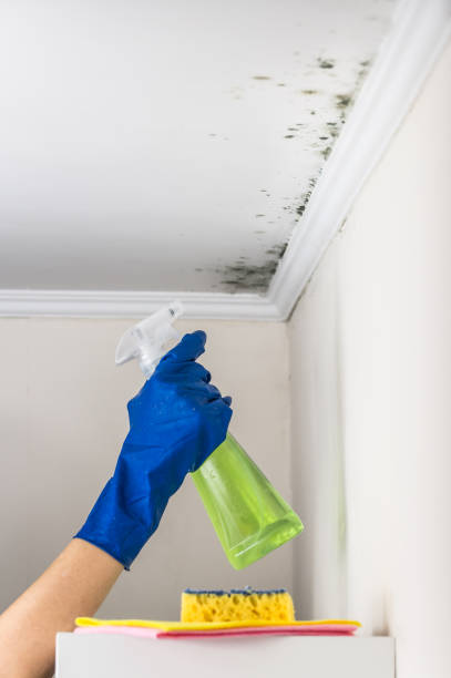 Best Crawl Space Mold Removal  in Merlin, OR